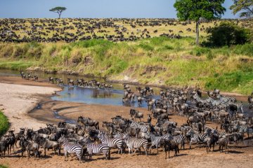 Essence of Tanzania: Small Group