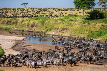Essence of Tanzania: Small Group