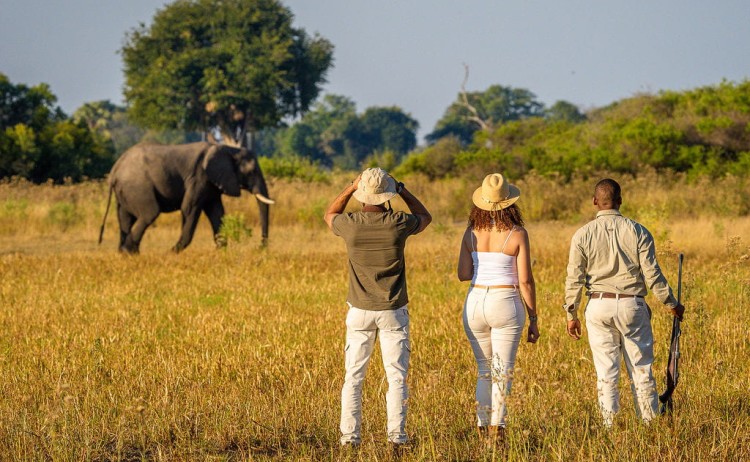 Essential Botswana Kanana walking safari