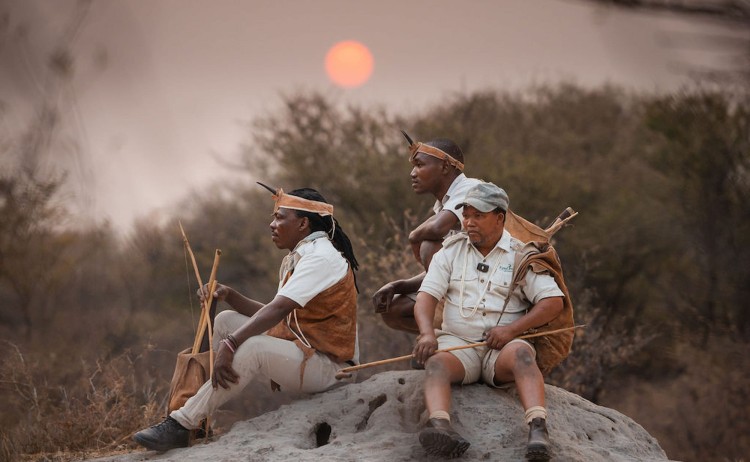 Essential Botswana expert guides