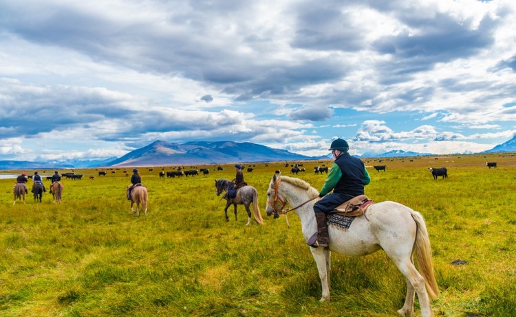 Estancia Cerro Guido, Horse riding at Torres del Paine National Park