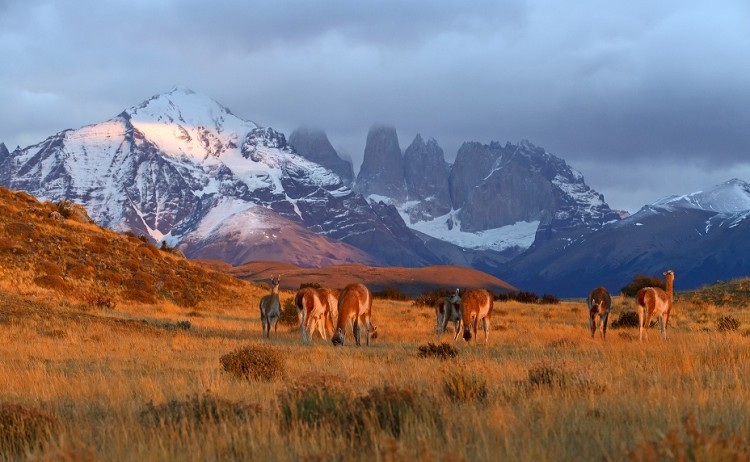 Estancia Cerro Guido, conservation at Torres del Paine National Park