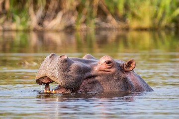 Etosha to Victoria Falls Adventure: Small Group