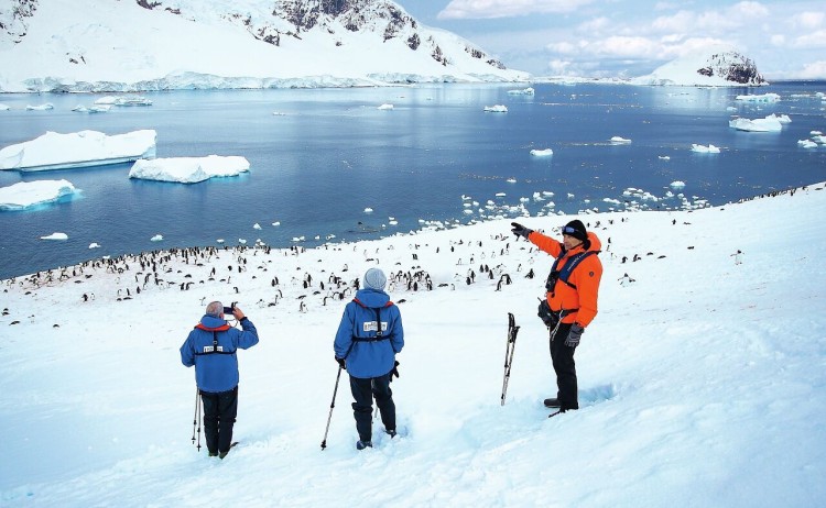 Expedition Antarctica snowshoeing