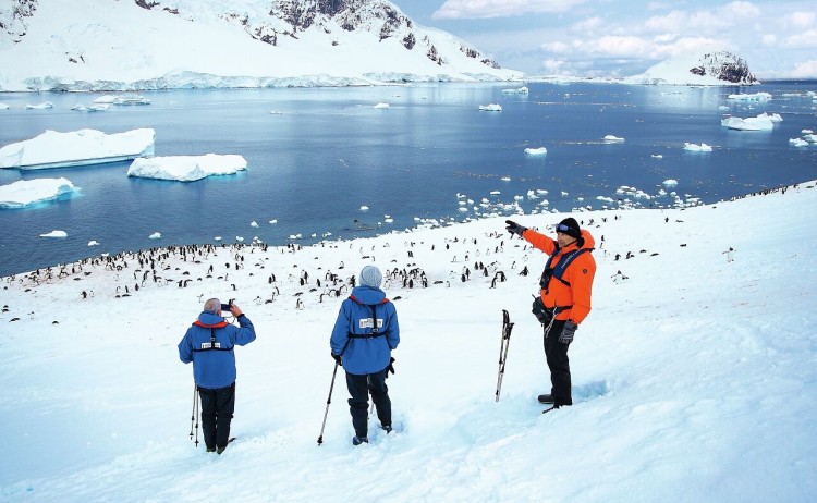 antarctica expert 248094 1280