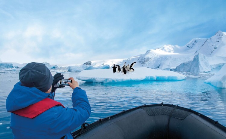 antarctica penguins 248103 HL 1280