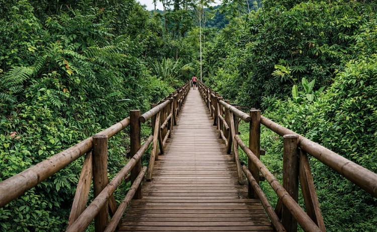 South America and Panama Canal. Walking Safari in Colombia