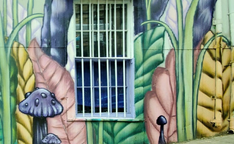 Street Art 4 Valparaiso credit DJ Weed