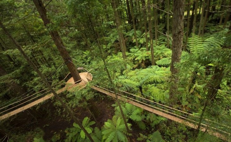 Restwoods Forest of Rotorua v2