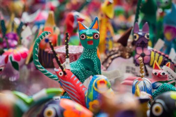 Explore Oaxaca 