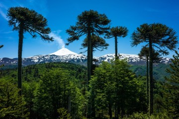Explore Pucon 