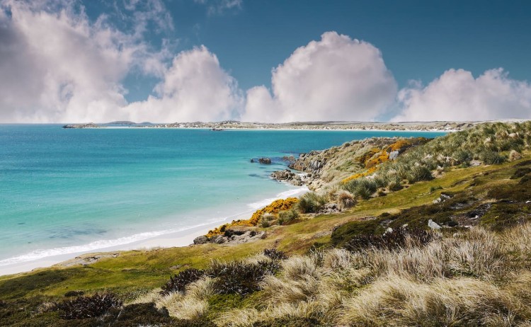 Falkland Island