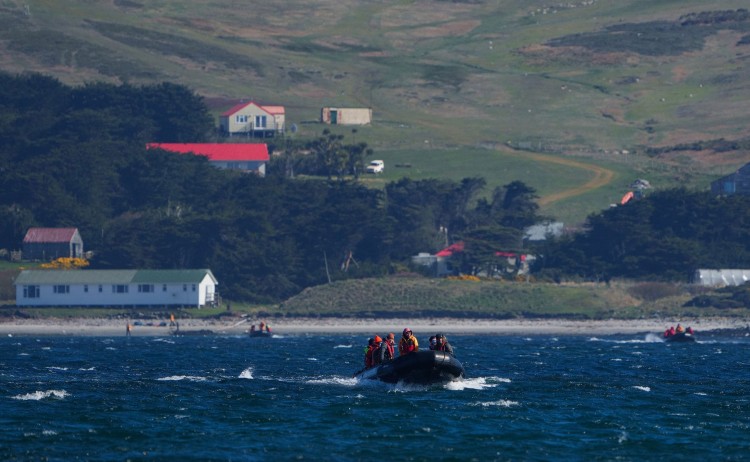 Zodiac excursion in Falkland Islands