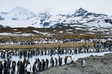 Falkland Islands, South Georgia and Antarctica