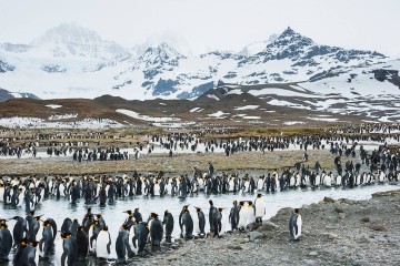 Falkland Islands, South Georgia and Antarctica