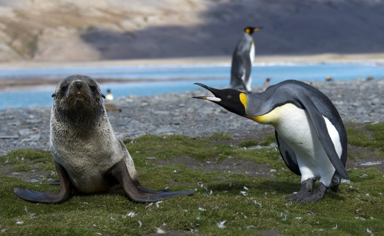 shutterstock 202828216