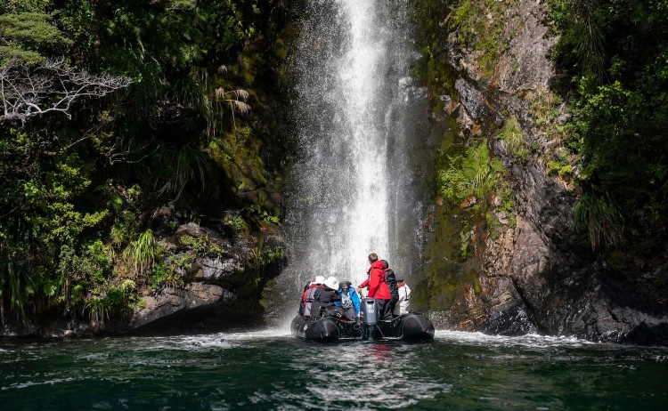 Dusky Sound Waterfall F. Wardle