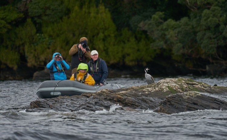 Fiordland Zodiac Cruise Heritage Expeditions