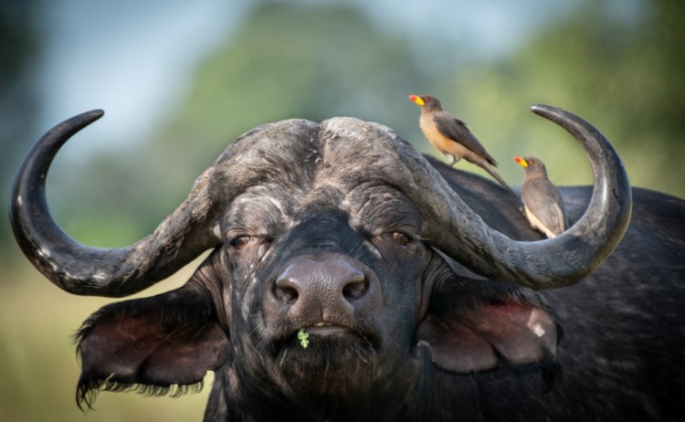 shutterstock 2481727993