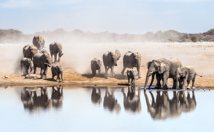 shutterstock 693817831