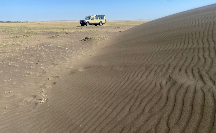 Shifting Sands
