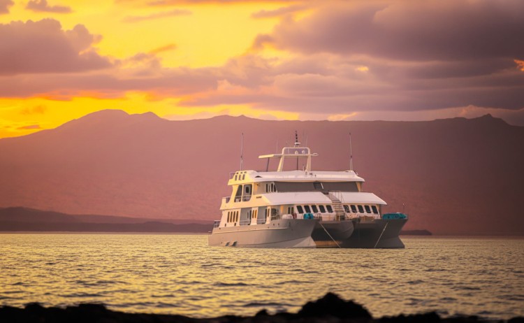 Alya cruise front sunset