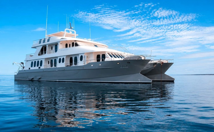 Alya exterior