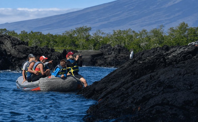 Galapagos Alya cruise panga ride