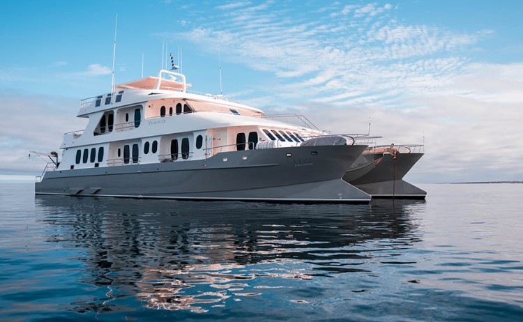 exterior5 alya catamaran