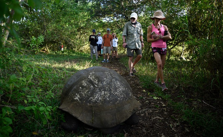 hiking3 alya catamaran