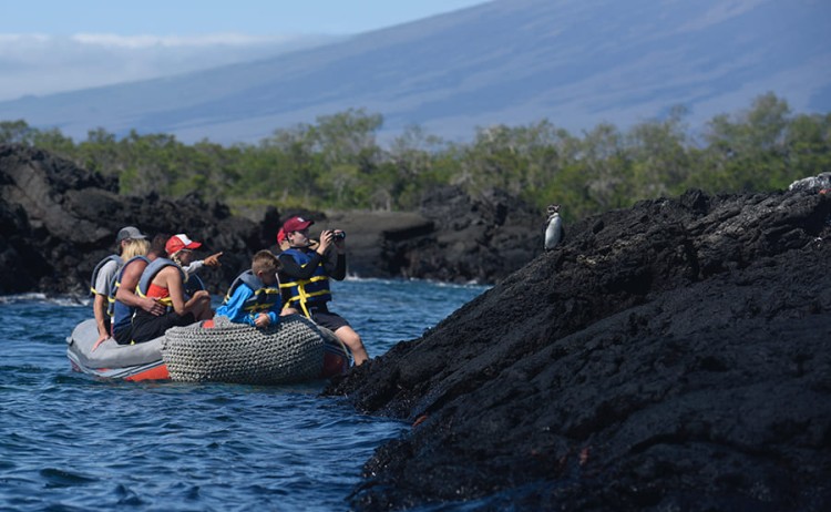 panga1 alya catamaran
