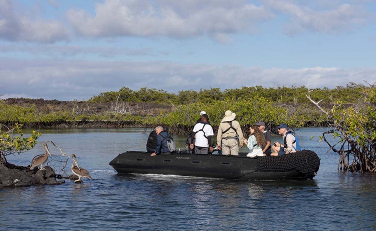 Aqua Mare Tender Ride W3 02