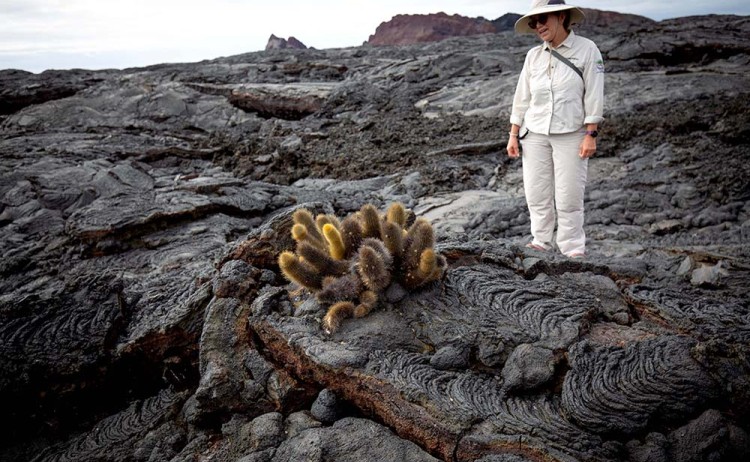 Aqua Mare Trekking E3 01