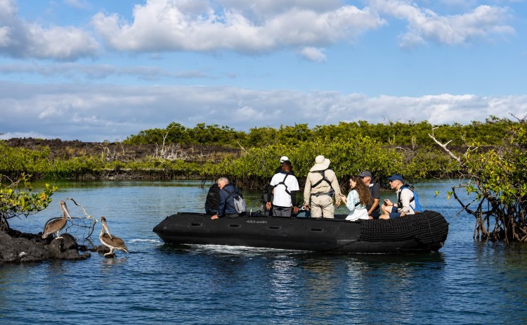 Aqua Mare panga ride in Galapagos Island