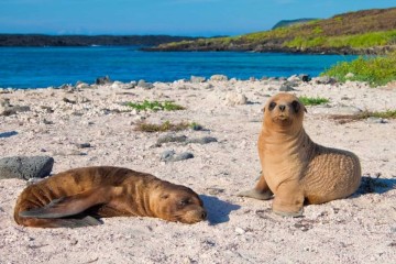 Galapagos: Archipel I I 5 day