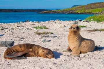  Galapagos: Archipel I I 5 day