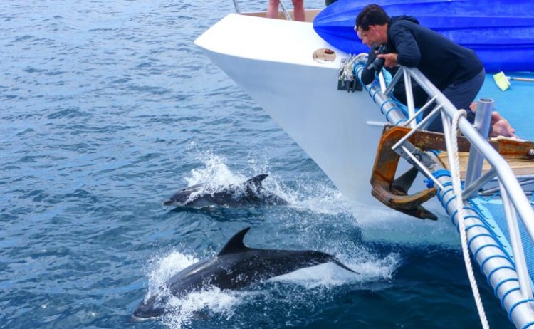 archipel 1 expe1 768x464