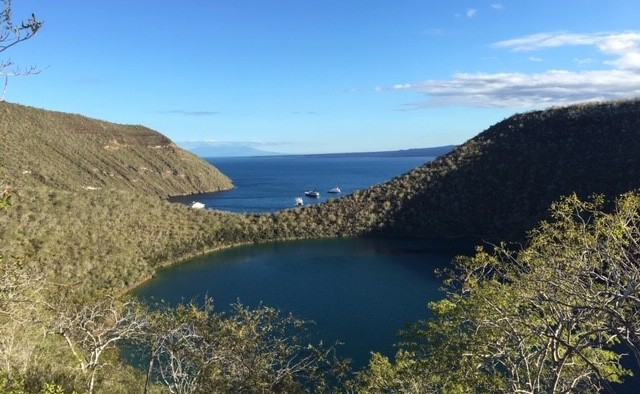 Tagus Cove Galapagos
