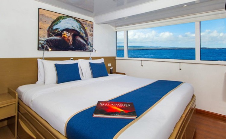 calipso double cabin