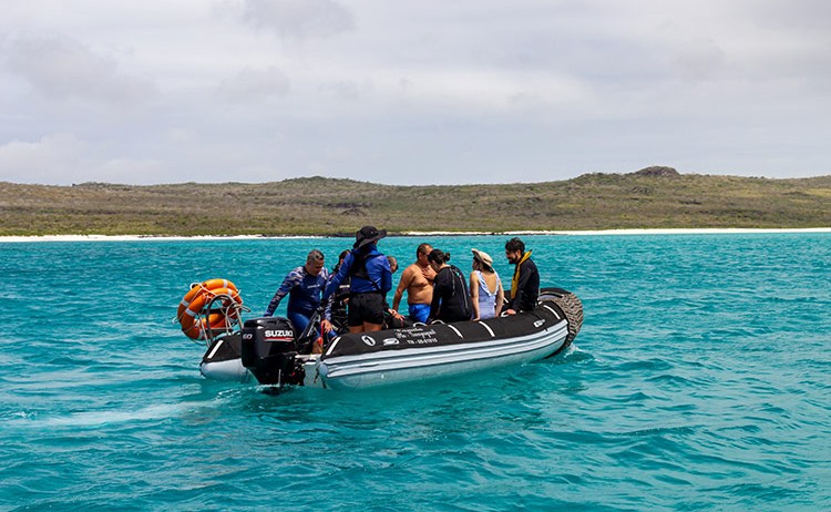 experience 4 Royal Galapagos