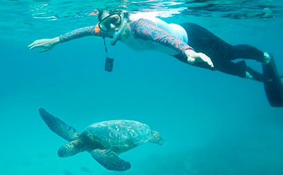 a snorkeling Royal Galapagos