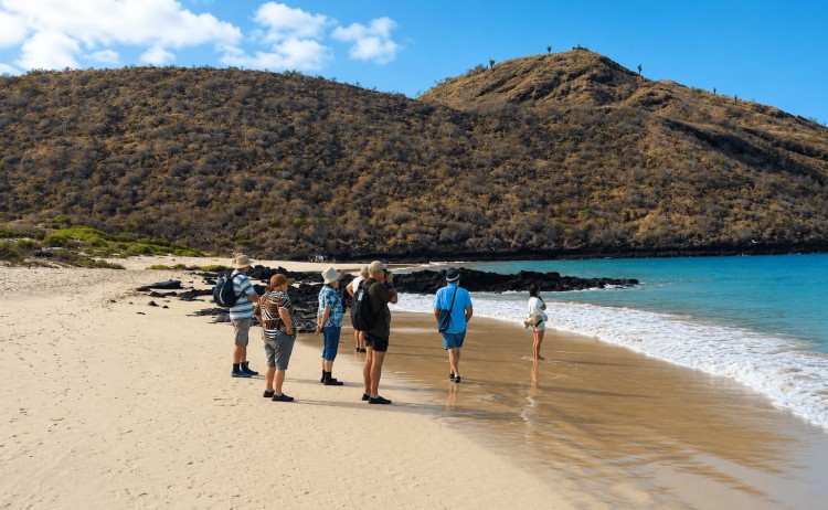 Coral I Floreana Island Galapagos