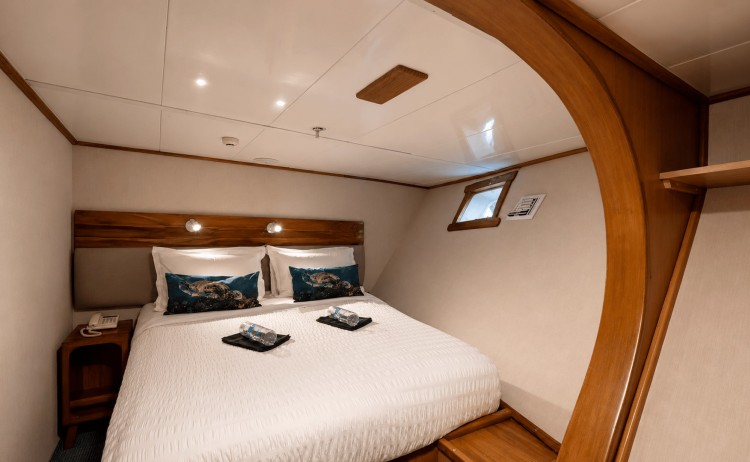 Coral I standard cabin