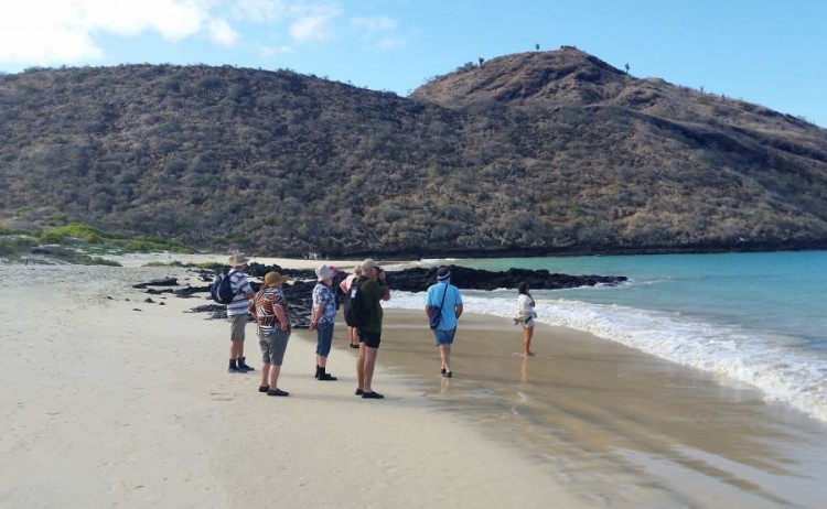 galapagosislands floreana5 Go Galapagos