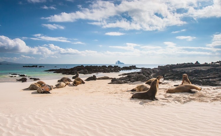 Galapagos White Beach