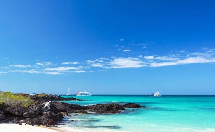 Galapagos Beach