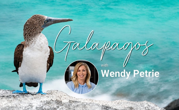 Galapagos cruise with Wendy Petrie Main Image
