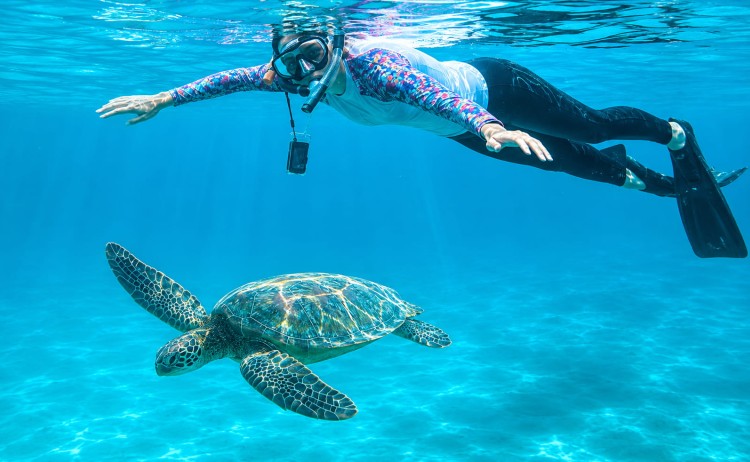 Galapagos cruise with Wendy Petrie Royal Galapagos snorkelling experience