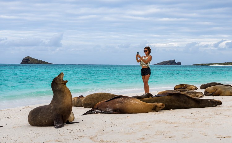 Galapagos cruise with Wendy Petrie woman and colony of sea lions