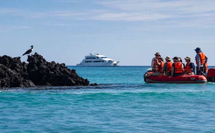 Galapagos Ecogalaxy cruise activities
